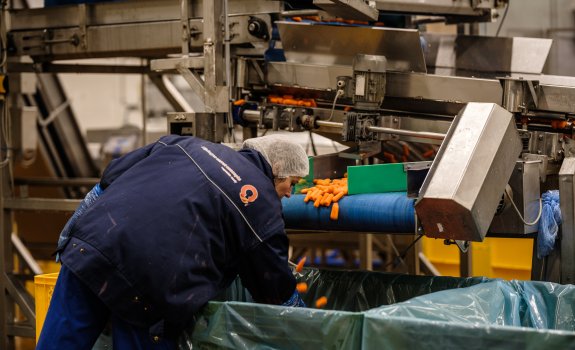Operator Productie