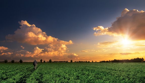 Zonsopkomst veld